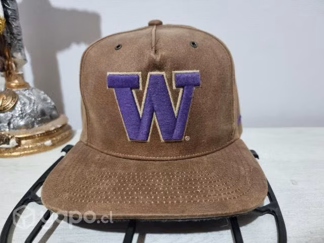 Zephye: SnapBack Wisconsin Zephye