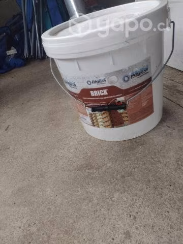 Pintura esmalte y grano