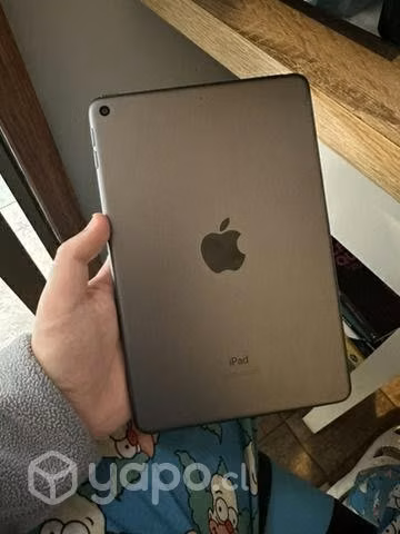 Ipad mini 5