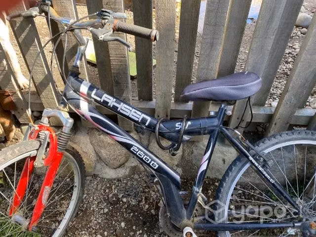 Bicicleta