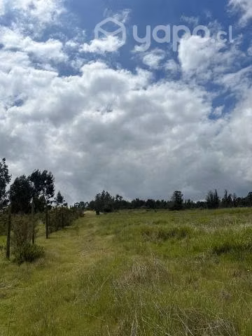 Parcela en algarrobo - Imagen 3