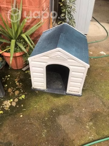 Se cende Casa de Perro/ gato - Imagen 4