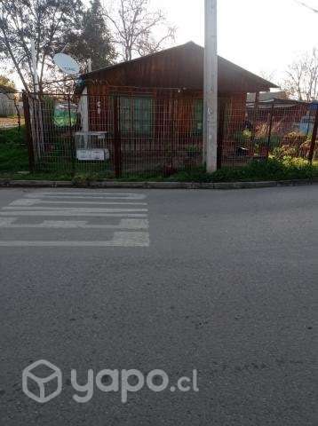 sitio con casa, localidad de champa. - Imagen 6