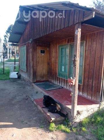 sitio con casa, localidad de champa. - Imagen 3