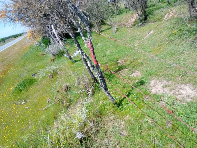 8.000 m2 en retiro 7 region