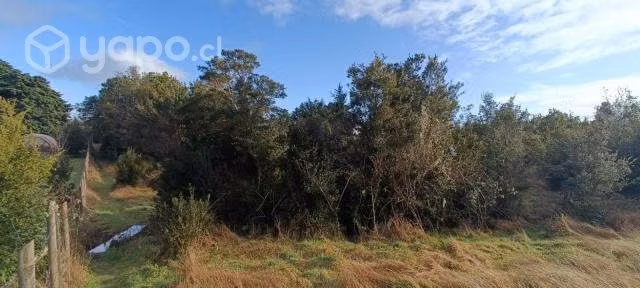 Terreno 2 hectareas - Imagen 11