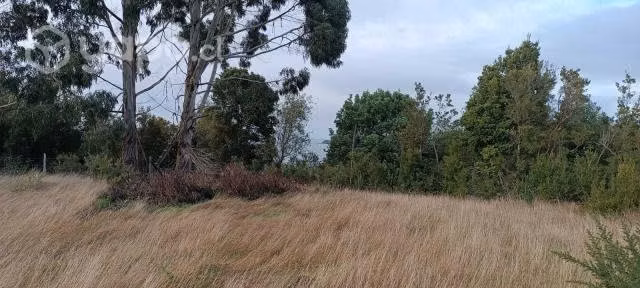 Terreno 2 hectareas - Imagen 4