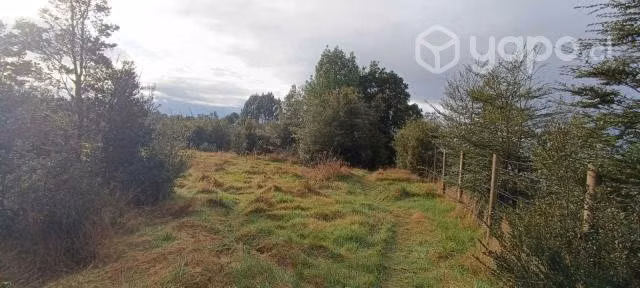 Terreno 2 hectareas - Imagen 9