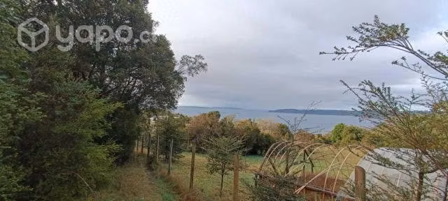 Terreno 2 hectareas - Imagen 7