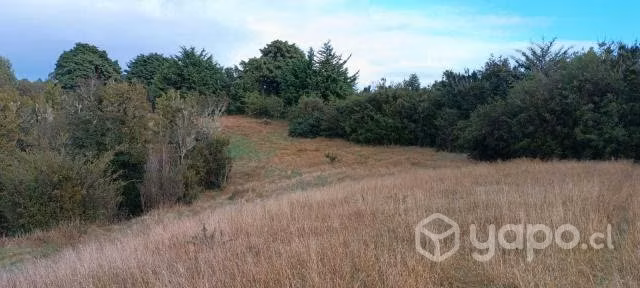 Terreno 2 hectareas - Imagen 2