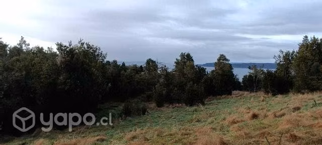 Terreno 2 hectareas