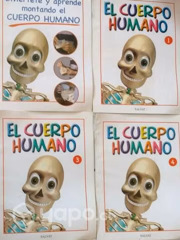 Esqueleto de plástico incompleto - Imagen 4