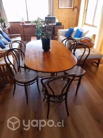 Comedor de madera de lingue + 6 silla viena Thonet - Imagen 2