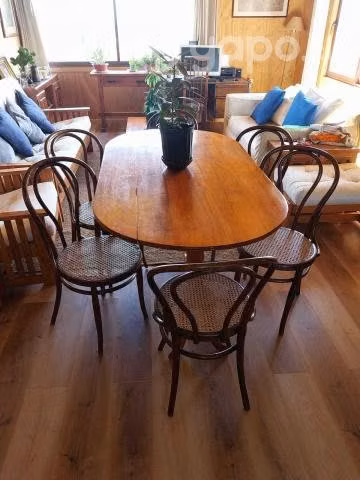 Comedor de madera de lingue + 6 silla viena Thonet - Imagen 3