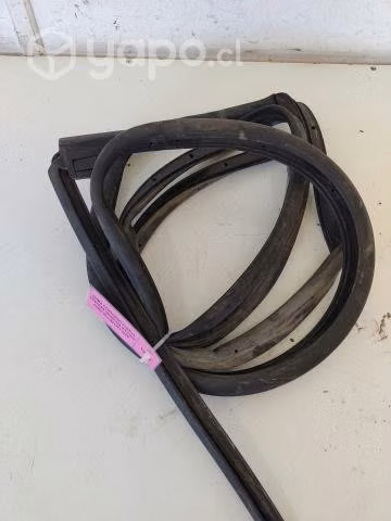 Goma Contorno Puerta Tras Der Ford Ecosport 2020