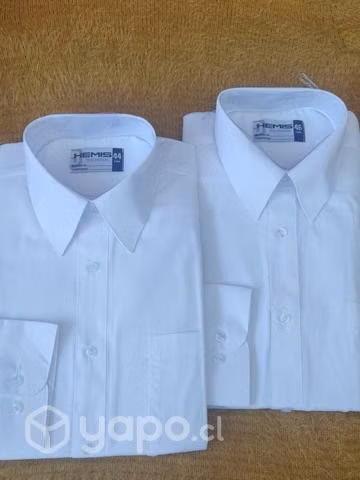 Camisas y blusas