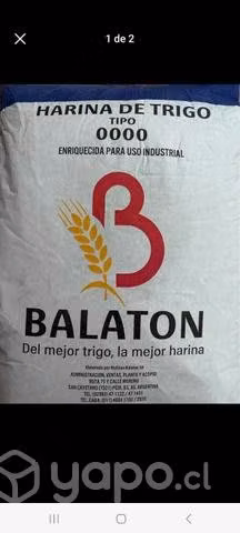 Harina de 25 kilos 0000