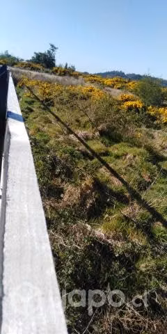 Vendo sitio