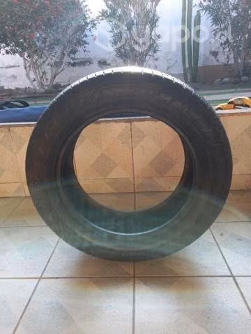 Neumático