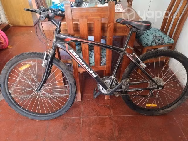 Bicicleta