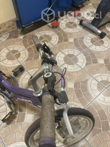Bicicleta lahsen aro 20 - Imagen 2