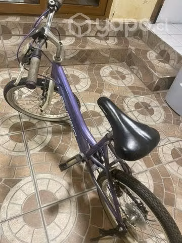 Bicicleta lahsen aro 20 - Imagen 4