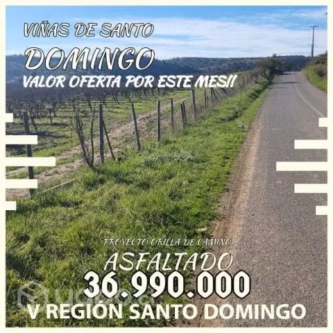 Viñas de Santo Domingo - Imagen 3