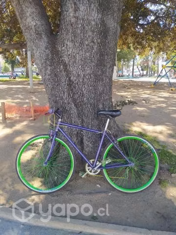 Bicicleta rutera - Imagen 3