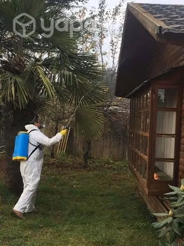 RM Fumigaciónes