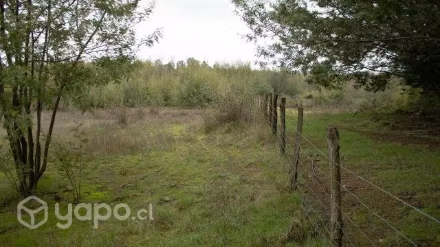 Parcela 5000 M2 cerca de Chillán