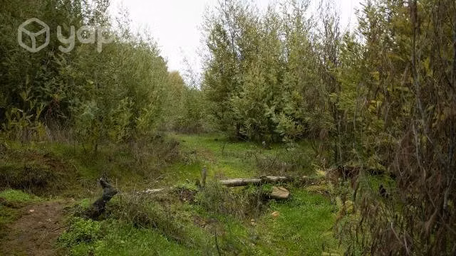 Parcela 5000 M2 cerca de Chillán