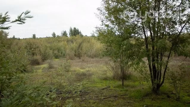 Parcela 5000 M2 cerca de Chillán