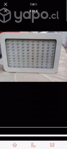 Carpa indor y luces - Imagen 2