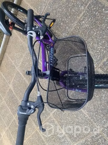 Bicicleta Oxford Luna Aro 24 - Imagen 4