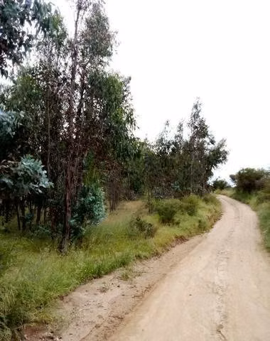 Parcela "san pedro" melipilla - Imagen 5