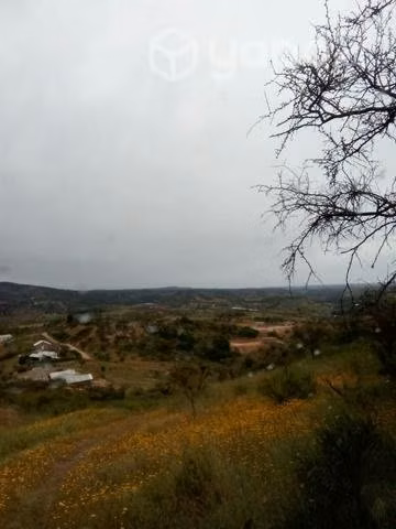 Parcela "san pedro" melipilla - Imagen 3