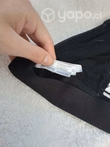 Brallet o peto negro - Imagen 3