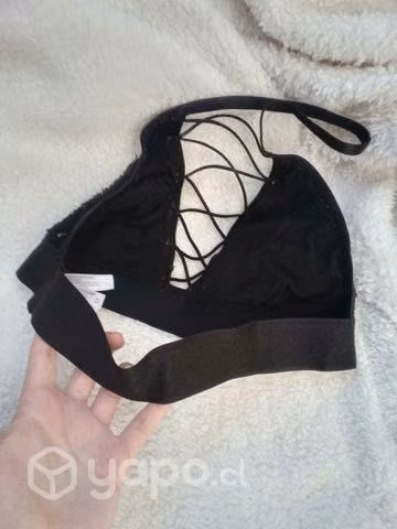 Brallet o peto negro - Imagen 2