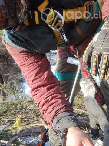 Motosierra