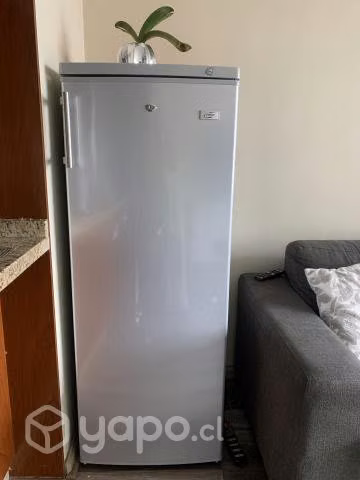 Feezer Femsa 165 Litros