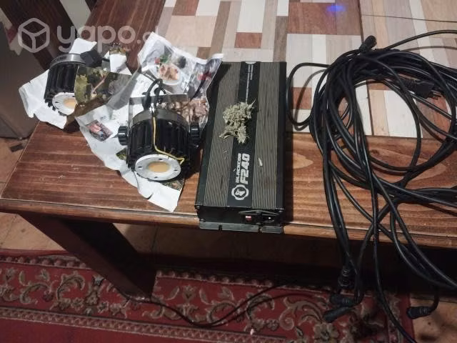 Led blackcob f240