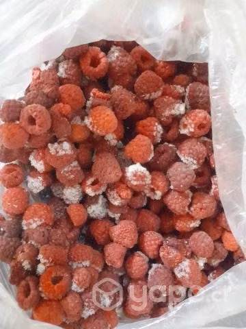 Frambuesas congeladas