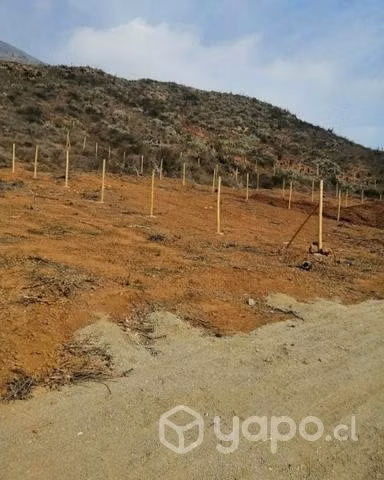 Terreno en Pichidangui