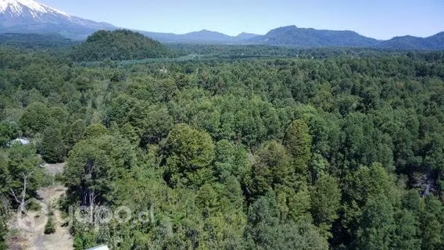 Venta de hermosas parcelas Villarrica-Pucón