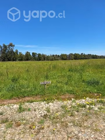 Parcela a orilla Ruta 5 sur san carlos