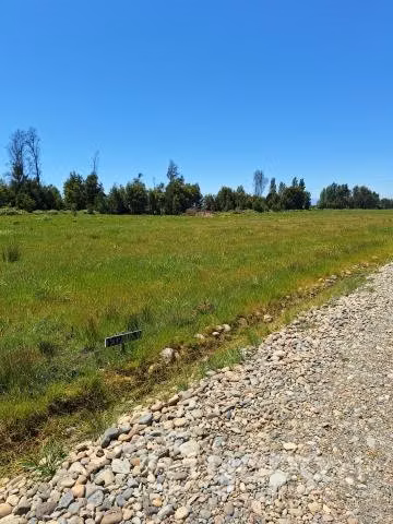 Parcela a orilla Ruta 5 sur san carlos