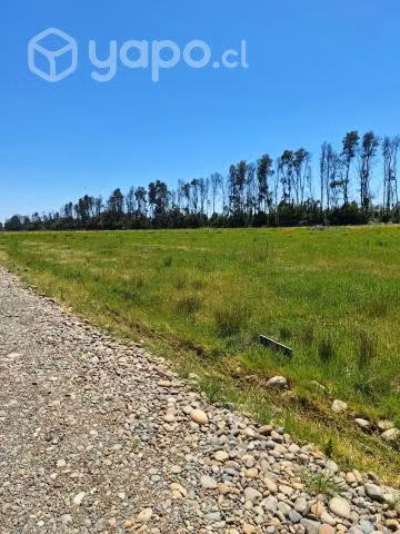 Parcela a orilla Ruta 5 sur san carlos