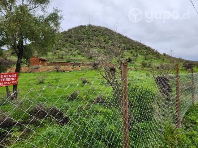 Parcela Culipran Melipilla