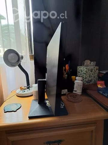 Monitor Lg