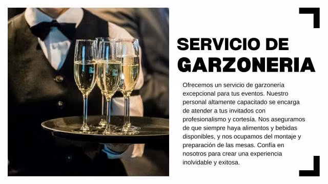Servicios de Garzoneria